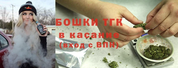 ешки Богданович