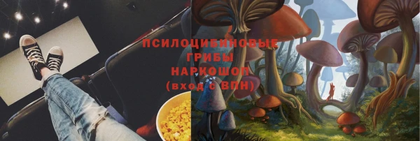 герыч Снежногорск