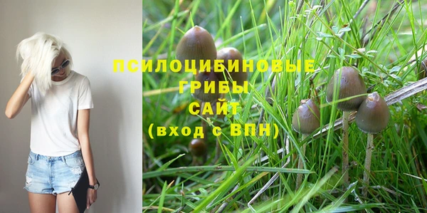 ешки Богданович