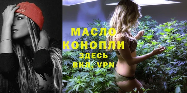 дмт Бородино