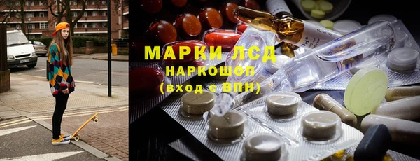дмт Бородино