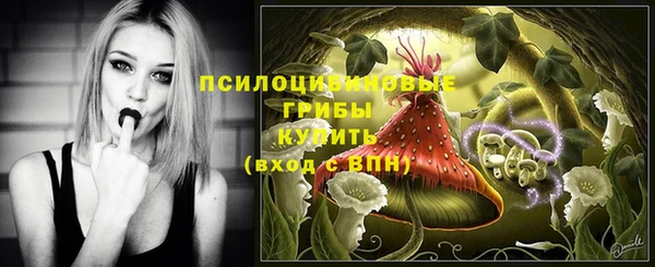 индика Белоозёрский