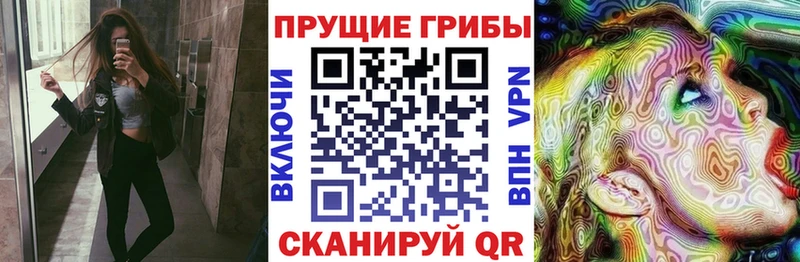 дарнет шоп  Белоусово  Галлюциногенные грибы GOLDEN TEACHER 